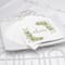 Hortense B. Hewitt Co. Greenery Beverage Napkin